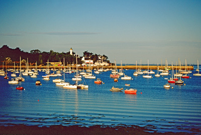 The Harbour